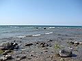 Western Michigan [2010] 791